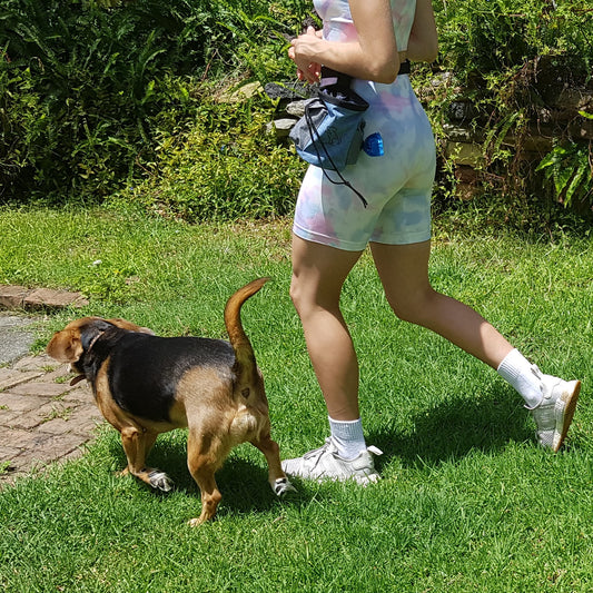 Review of the Dog Training Treat Bag