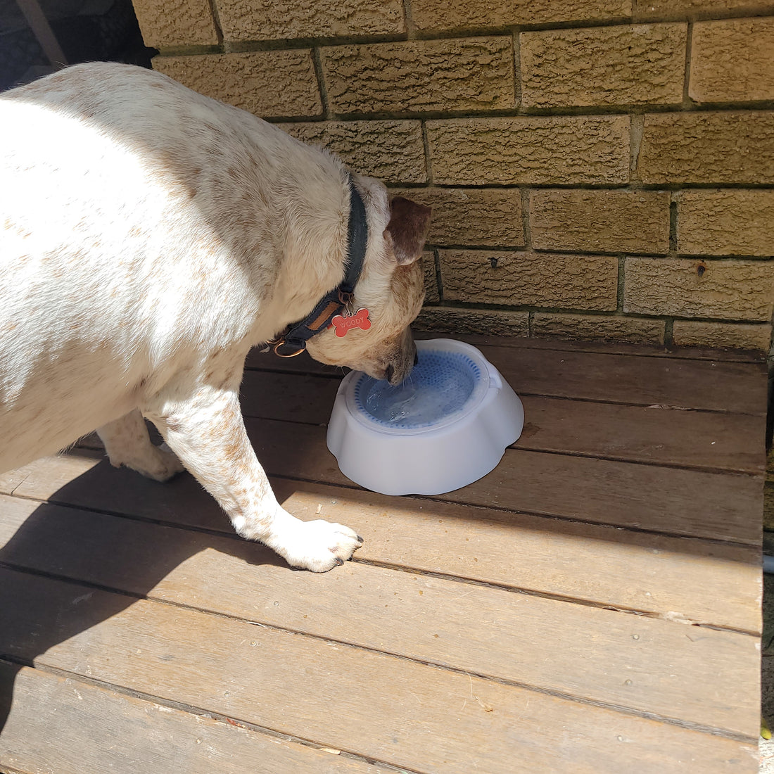 Review of the Frosty Bowl