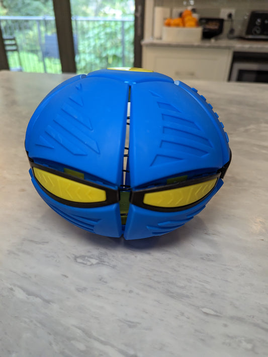 Why you should not buy this viral Tik Tok dog toy