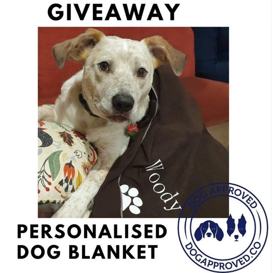 July '23 Giveaway Winner