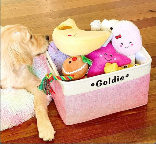 November '21 Toy Basket Winner