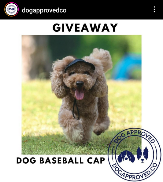 September '23 Giveaway Winner