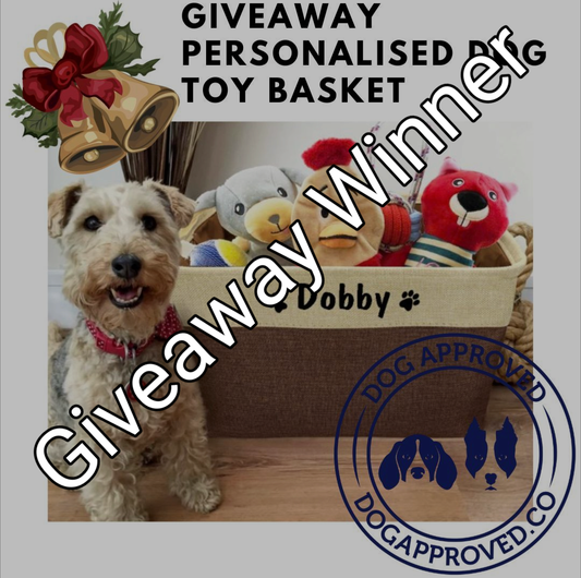 November Toy Basket Giveaway Winner