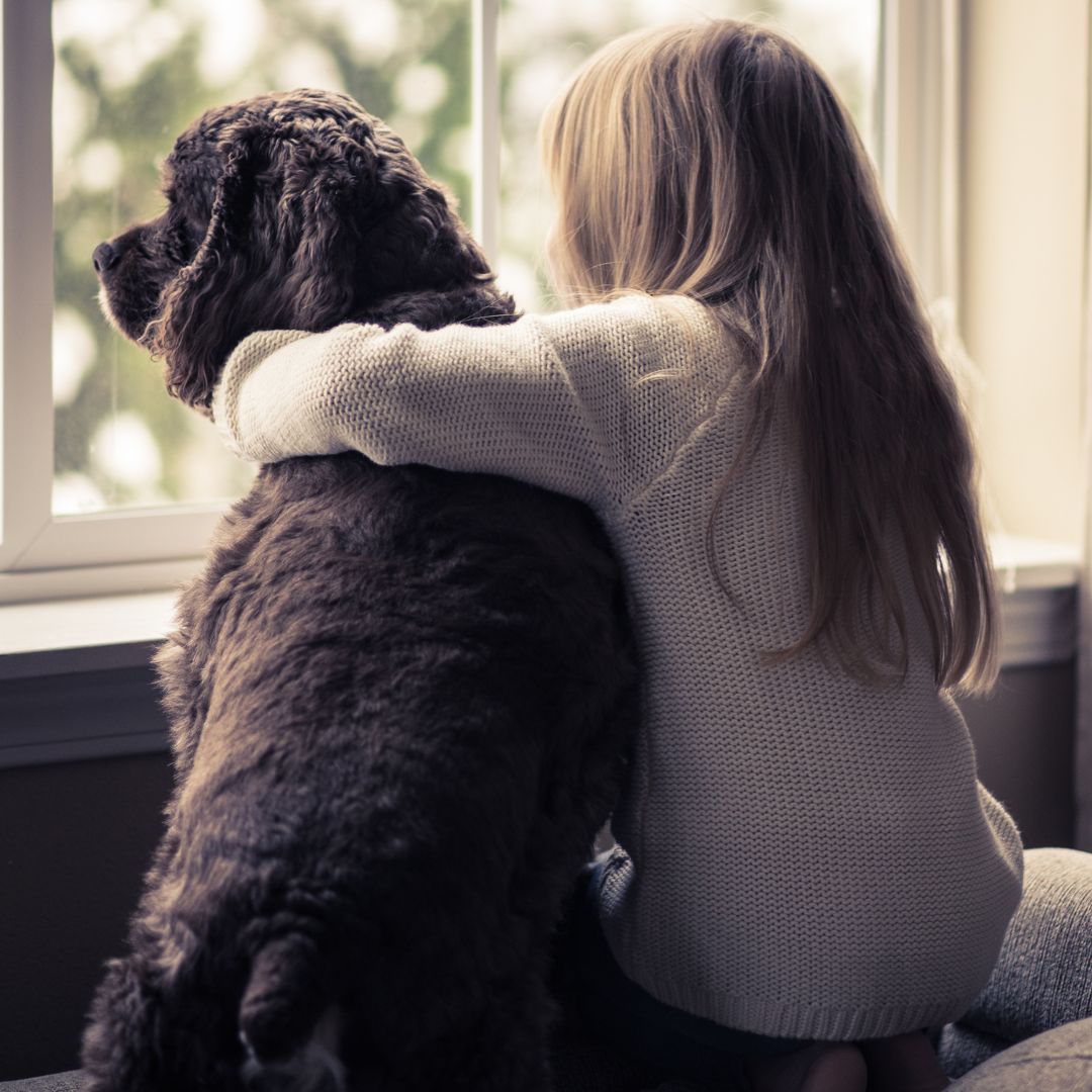 Top 5 Indoor Exercise Ideas for Dogs: The Importance of Staying Active During the Australian Winter