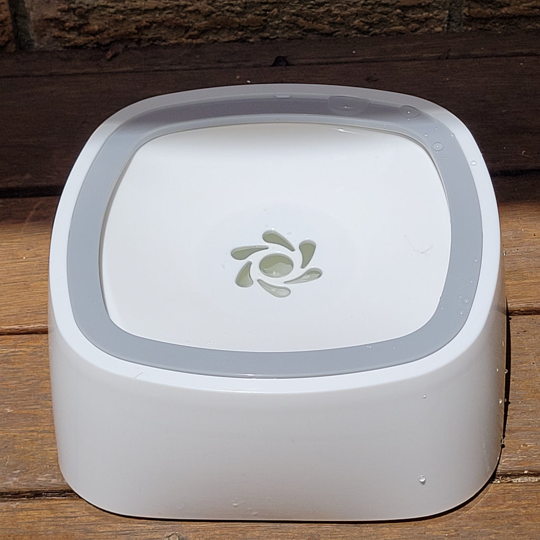 Review of the Non-Splash Water Bowl