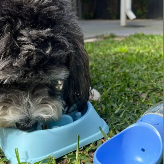 August Giveaway Winner