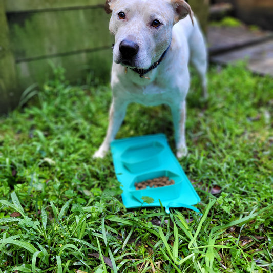 Review of the Roll-Up Travel Bowls