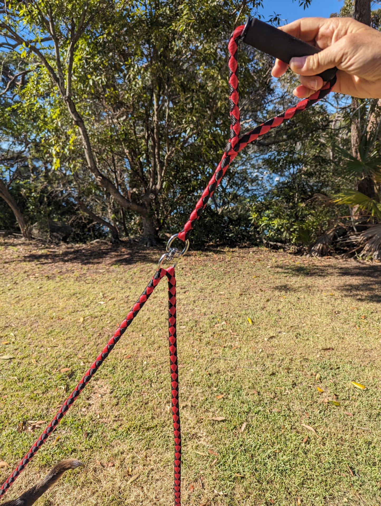 Dual Braided Dog Leash