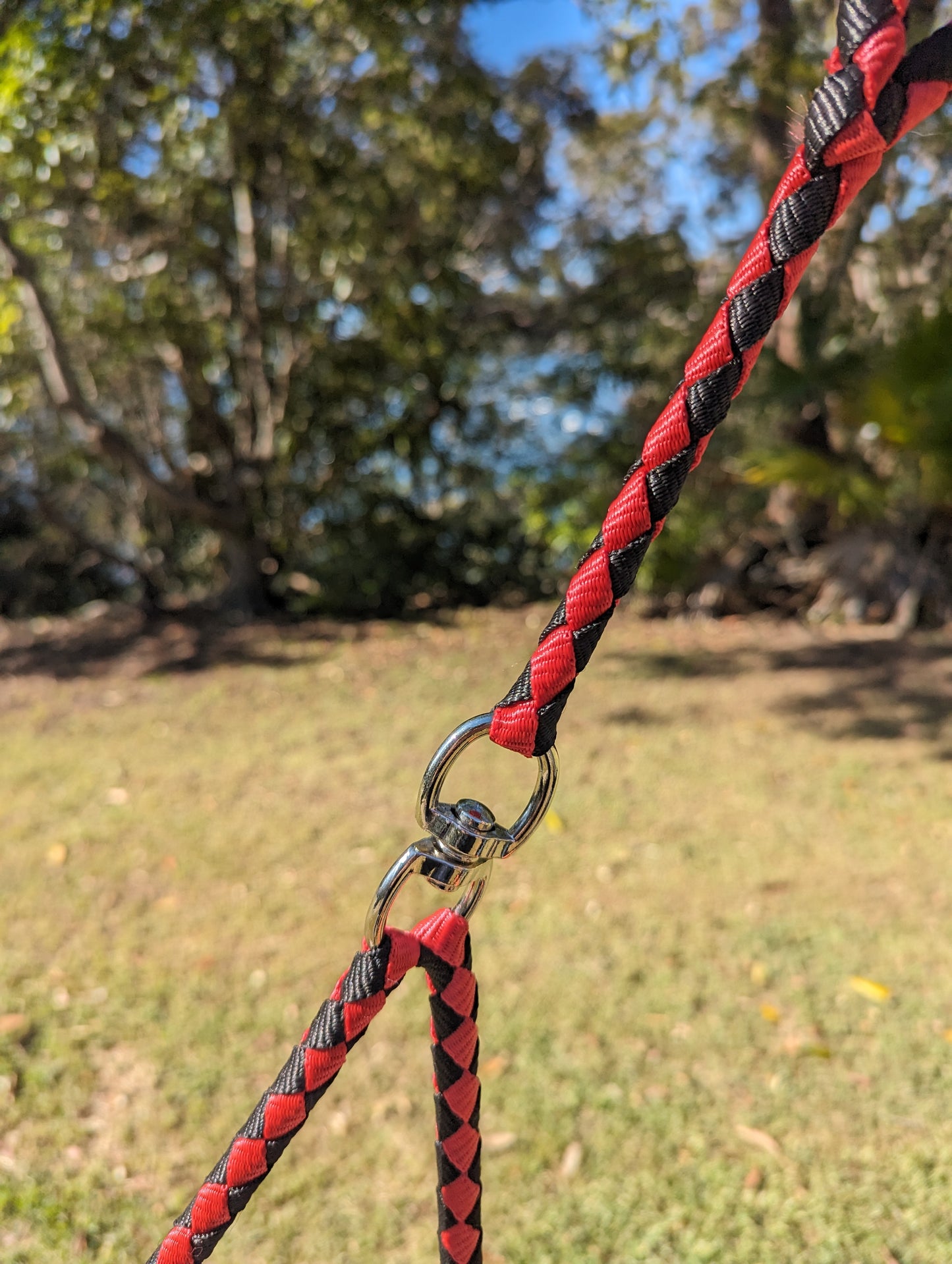 Dual Braided Dog Leash