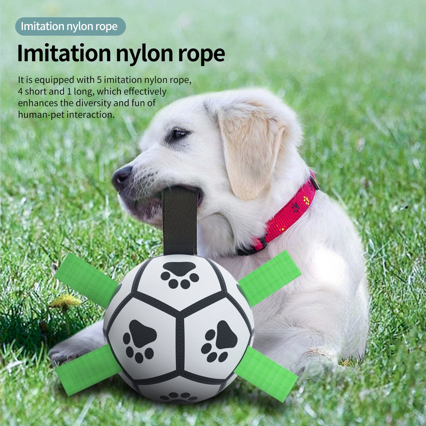 Interactive Dog Soccer Ball