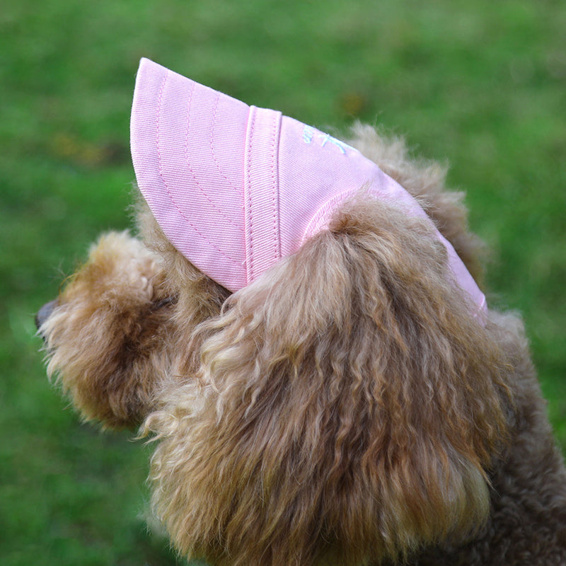 Dog Baseball Cap