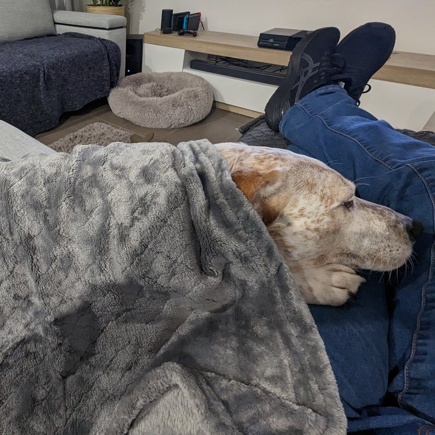 Dog Flannel Sleeping Blanket