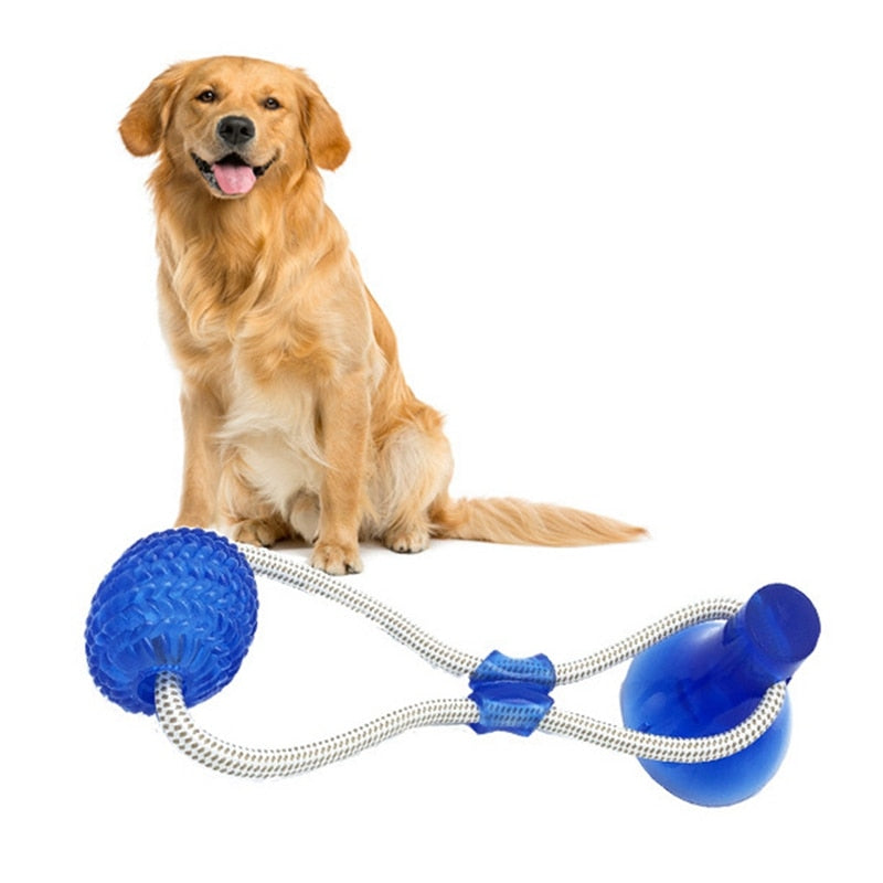 Dog Suction Cup Ball Rope Toy | Tug of War Solo Play