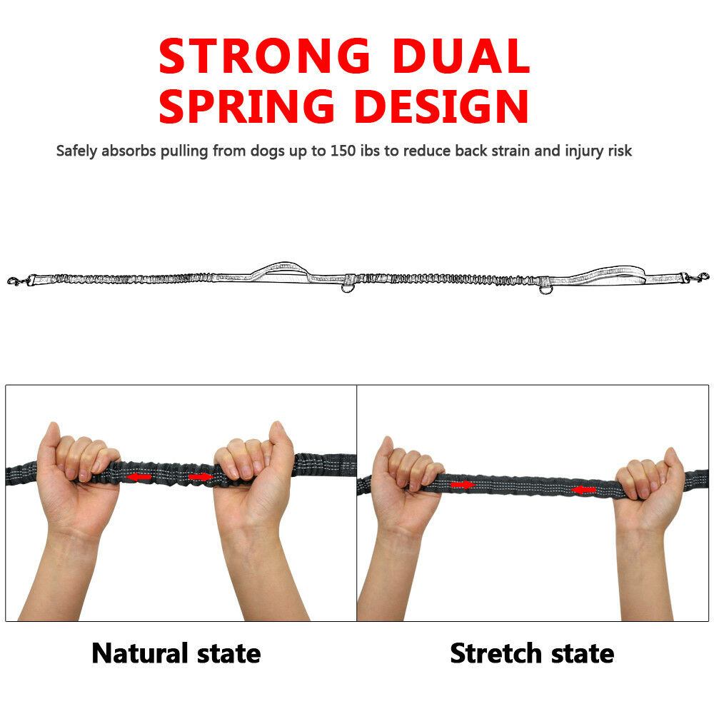 Dog Jogging Leash | Handsfree Dog Jogging | Run With Dog