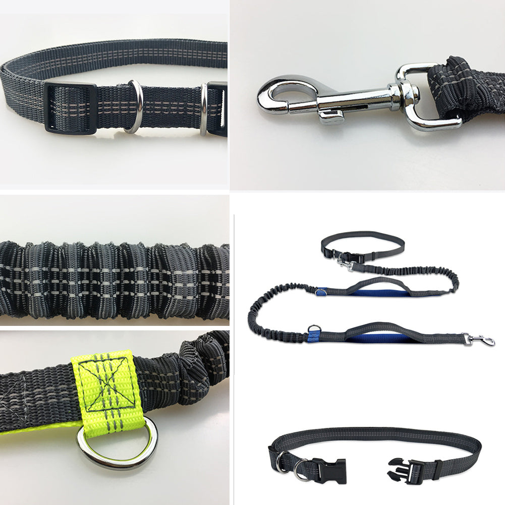 Dog Jogging Leash | Handsfree Dog Jogging | Run With Dog