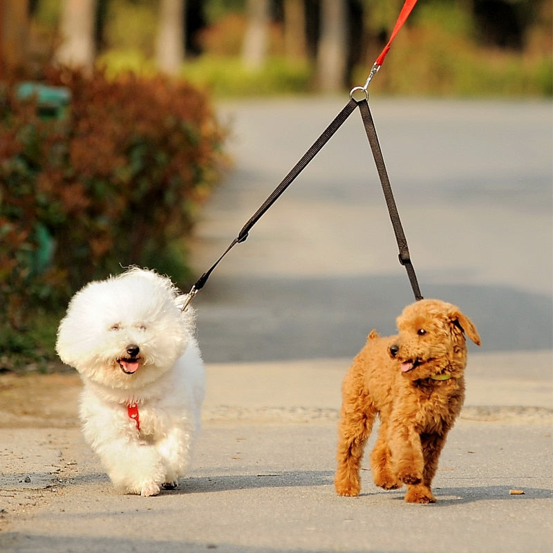Leash Coupler Twin Lead