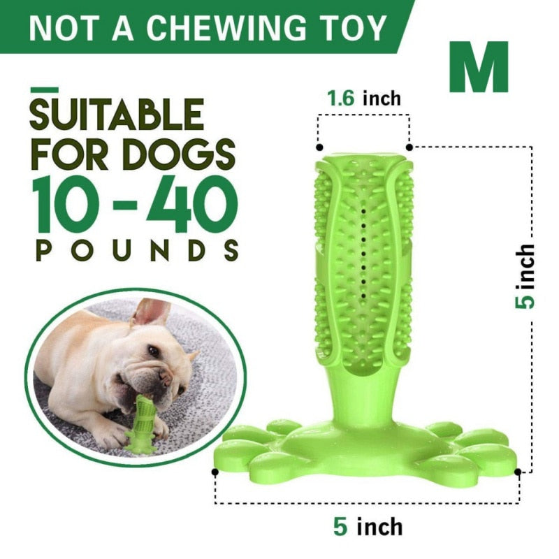 Dog Toothbrush Stick | Clean Dog Teeth | Toothbrush for Dogs