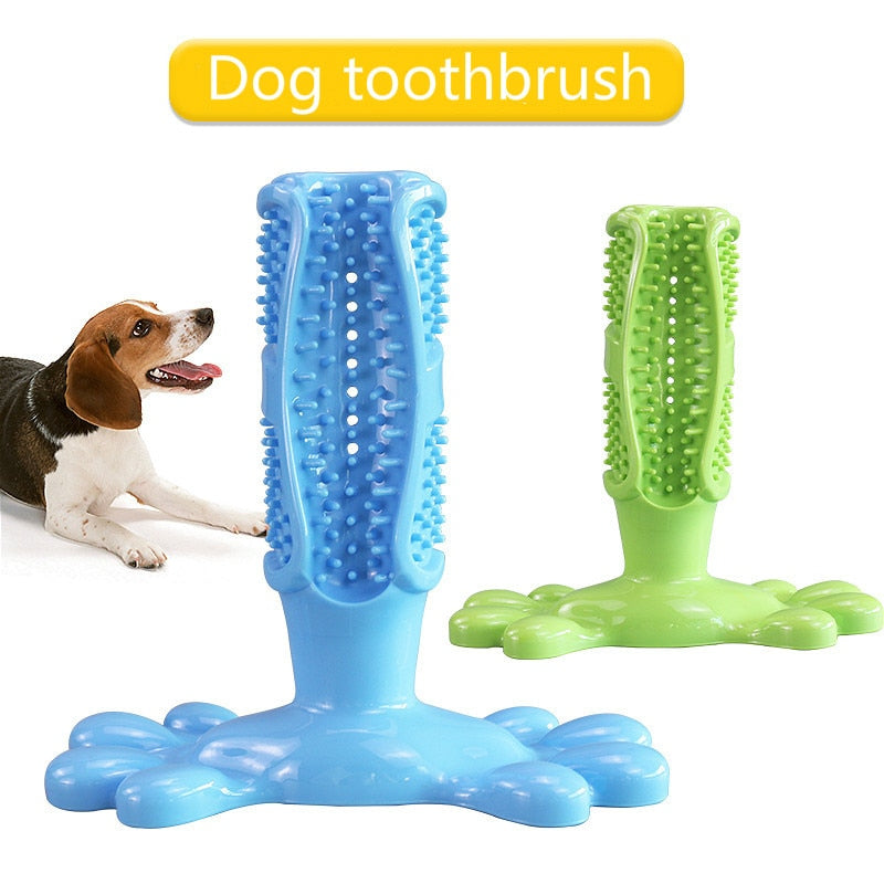 The dog toothbrush clearance stick