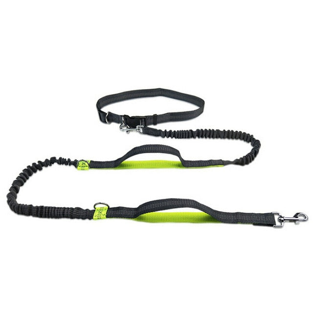 Dog Jogging Leash | Handsfree Dog Jogging | Run With Dog