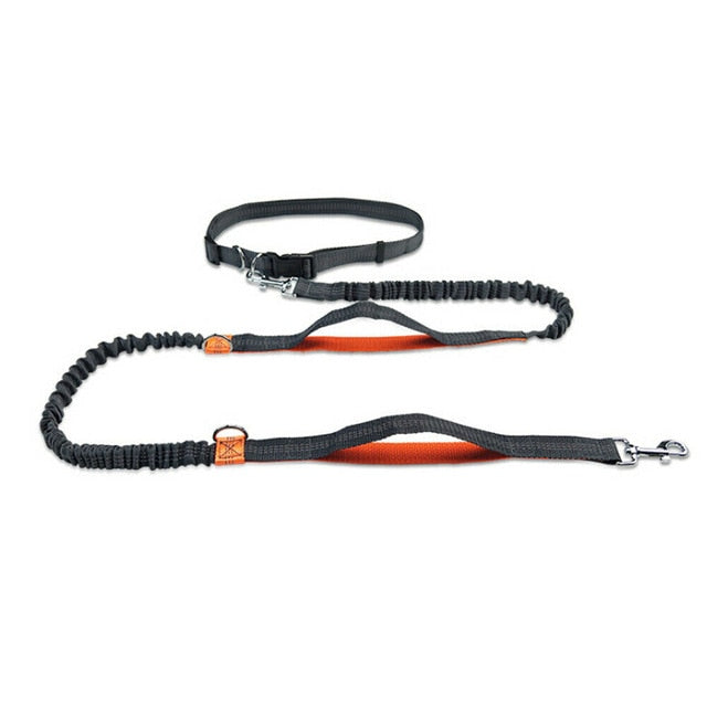 Dog Jogging Leash | Handsfree Dog Jogging | Run With Dog