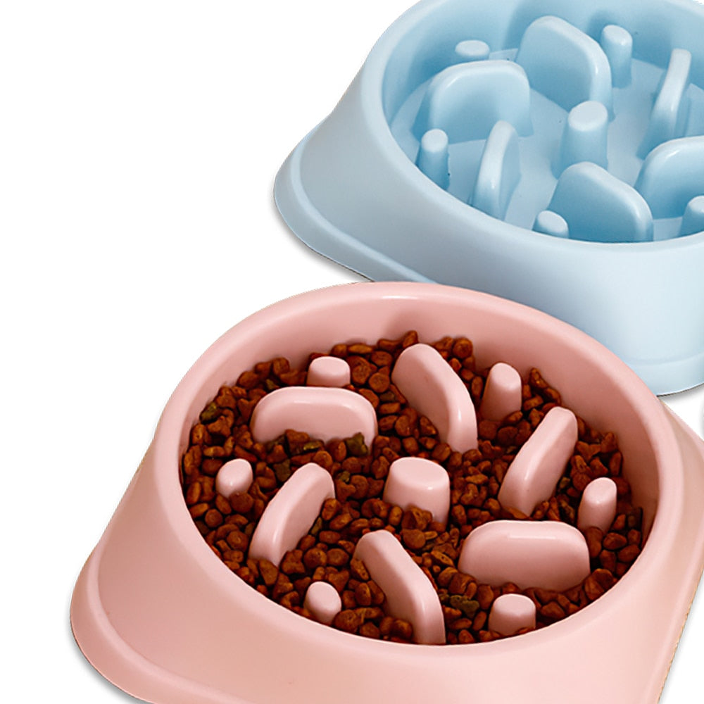 Slow Feed Dog Bowl