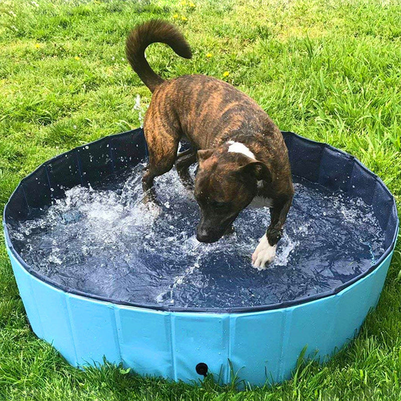 Foldable Dog Swimming Pool