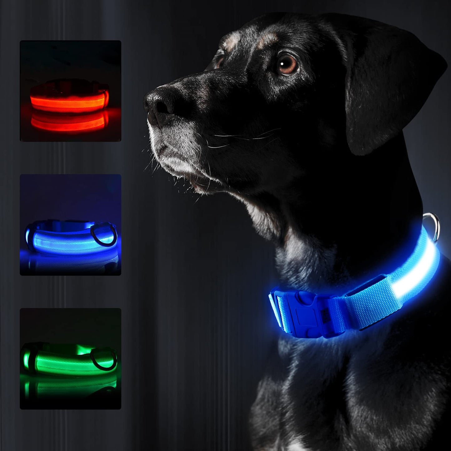 LED Dog Collar