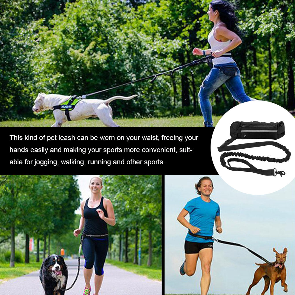 Dog Jogging Leash Belt | Handsfree Dog Walking | No pull leash | Jogging with your dog