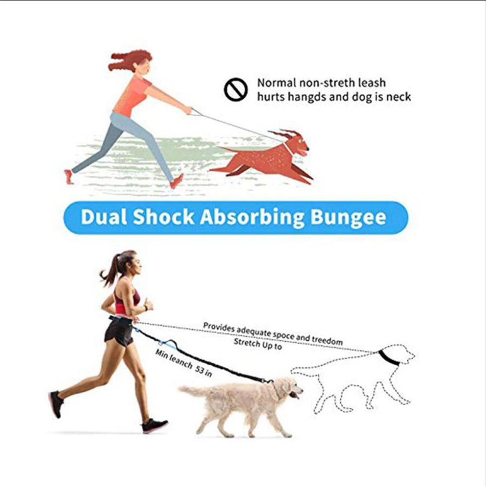 Dog Jogging Leash Belt | Handsfree Dog Walking | No pull leash | Jogging with your dog