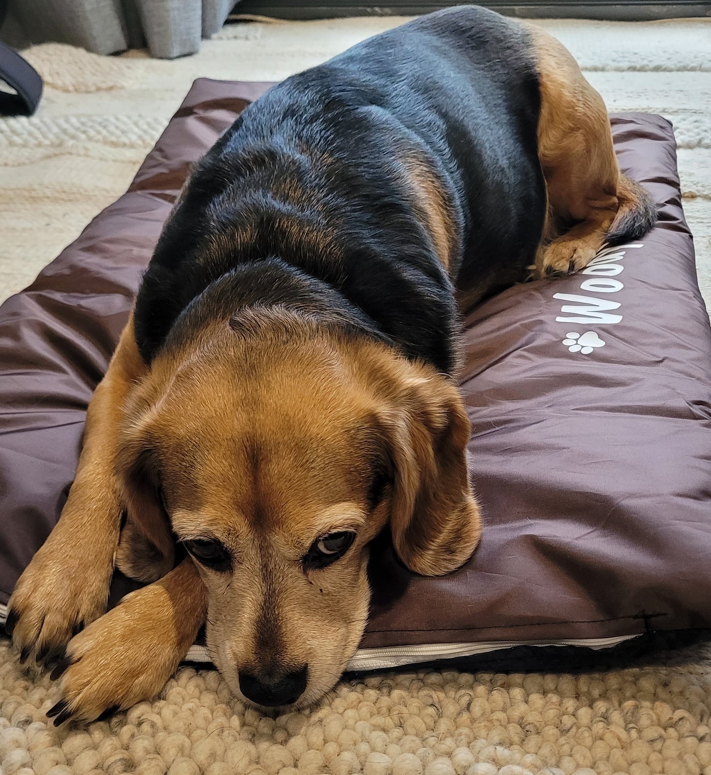 Personalised Waterproof Dog Mat