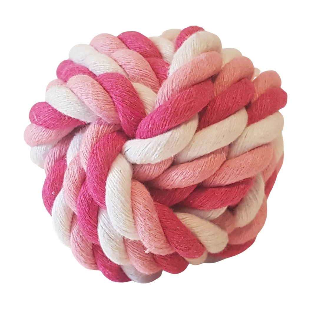 Rope Toy Enrichment Bundle for Dogs