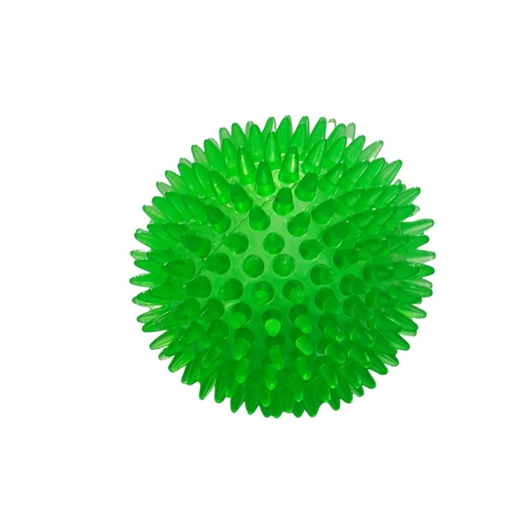 Spikey Squeaker Ball