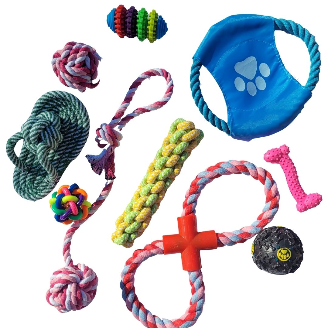 Rope Toy Enrichment Bundle for Dogs