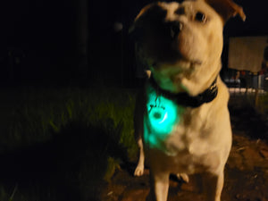 Review of the Glowing Collar Pendant