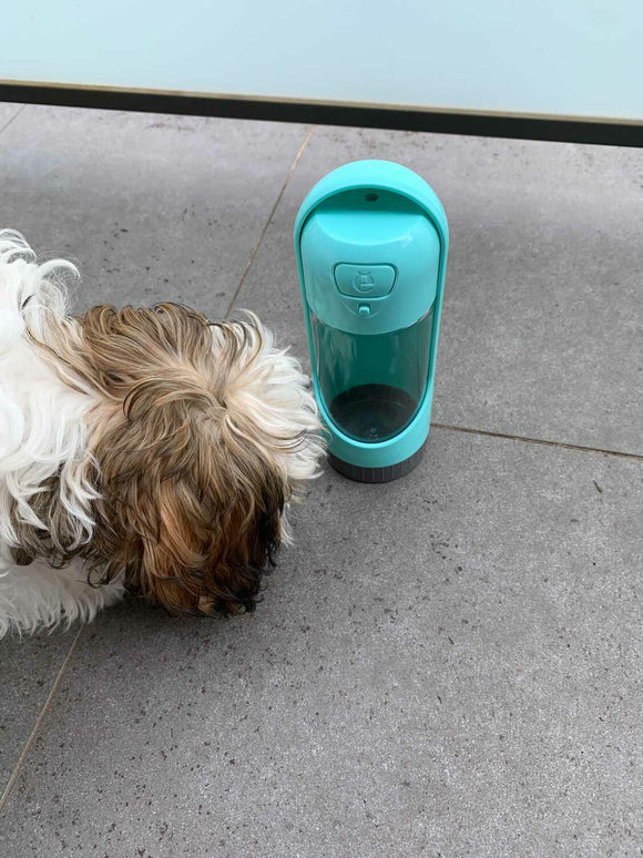 small dog with closed extendable dog water bottle Dog Approved Co