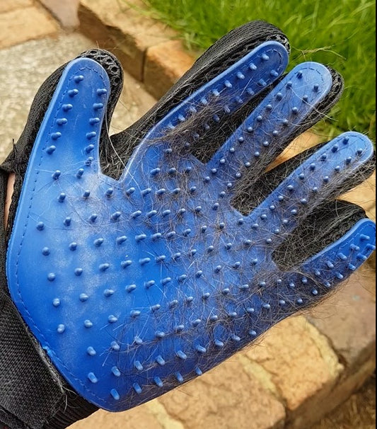 Review of the Dog Deshedding Glove