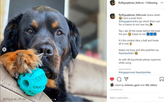 April Competition Winner