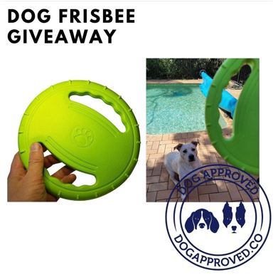 September Frisbee Giveaway Winner