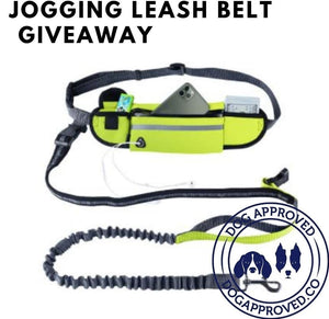 July Dog Jogging Belt Leash Giveaway Winner