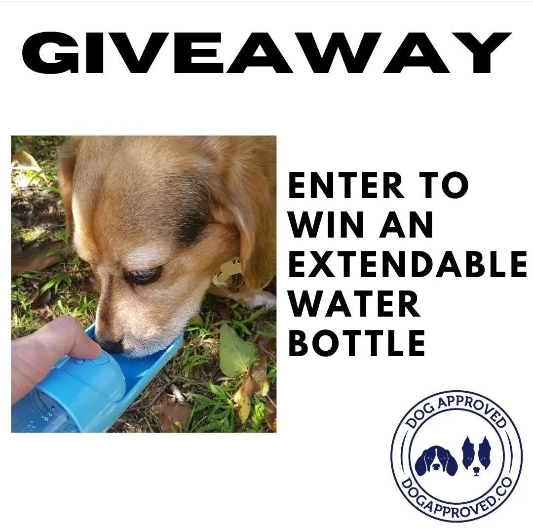 February '22 Extendable Water Bottle Giveaway Winner