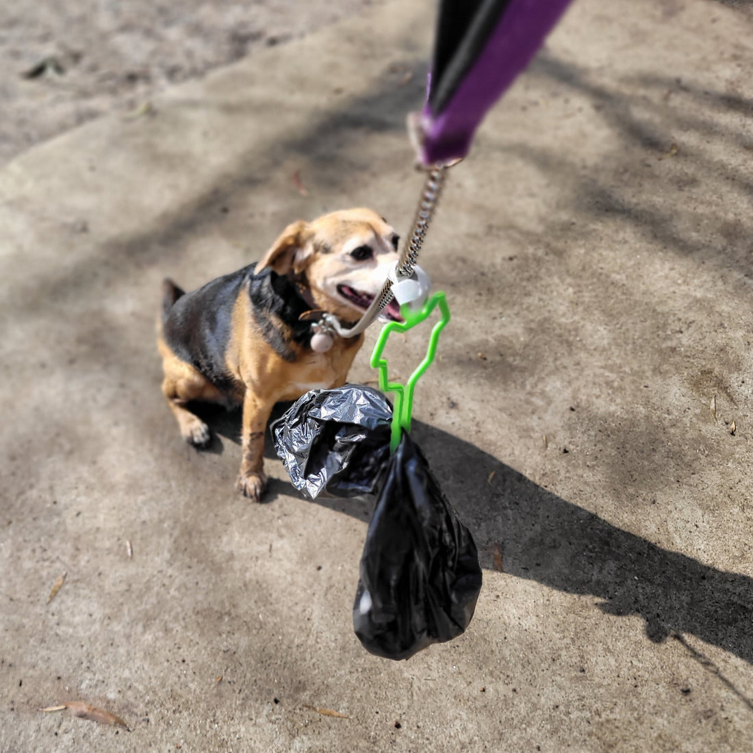 Review of the Dog Poop Bag Holder