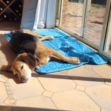 Dog Cooling Mat | Cooling Pad for dogs
