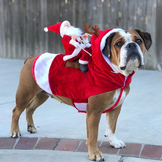 Santa Sleigh Dog Costume