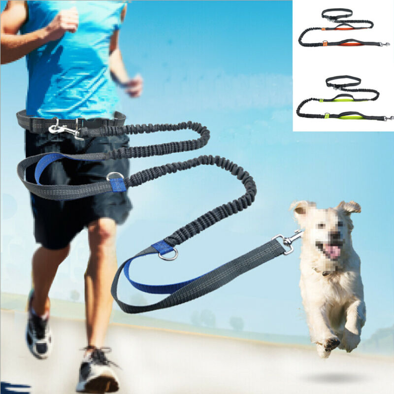 Dog Jogging Leash | Handsfree Dog Jogging | Run With Dog