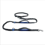 Dog Jogging Leash | Handsfree Dog Jogging | Run With Dog