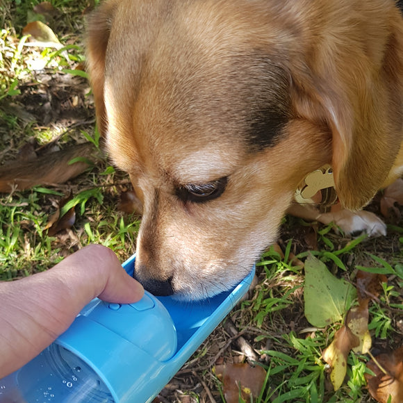 Extendable Dog Water Bottle, Portable Water Bottle For Dogs